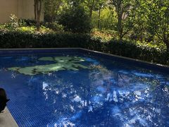 -上海崇明金茂凯悦酒店