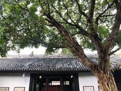 -白帝城·瞿塘峡景区