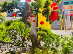 -八珍玉食鸡煲·打边炉(印象城店)