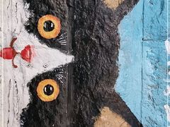 -猫咪博物馆(顶澳仔猫街店)
