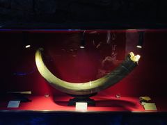 -抚顺煤矿博物馆