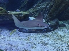 -海合安武汉极地海洋公园