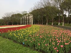 -上海鲜花港