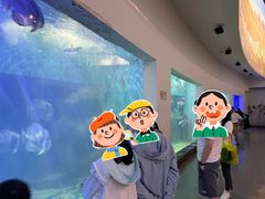 -上海长江河口科技馆