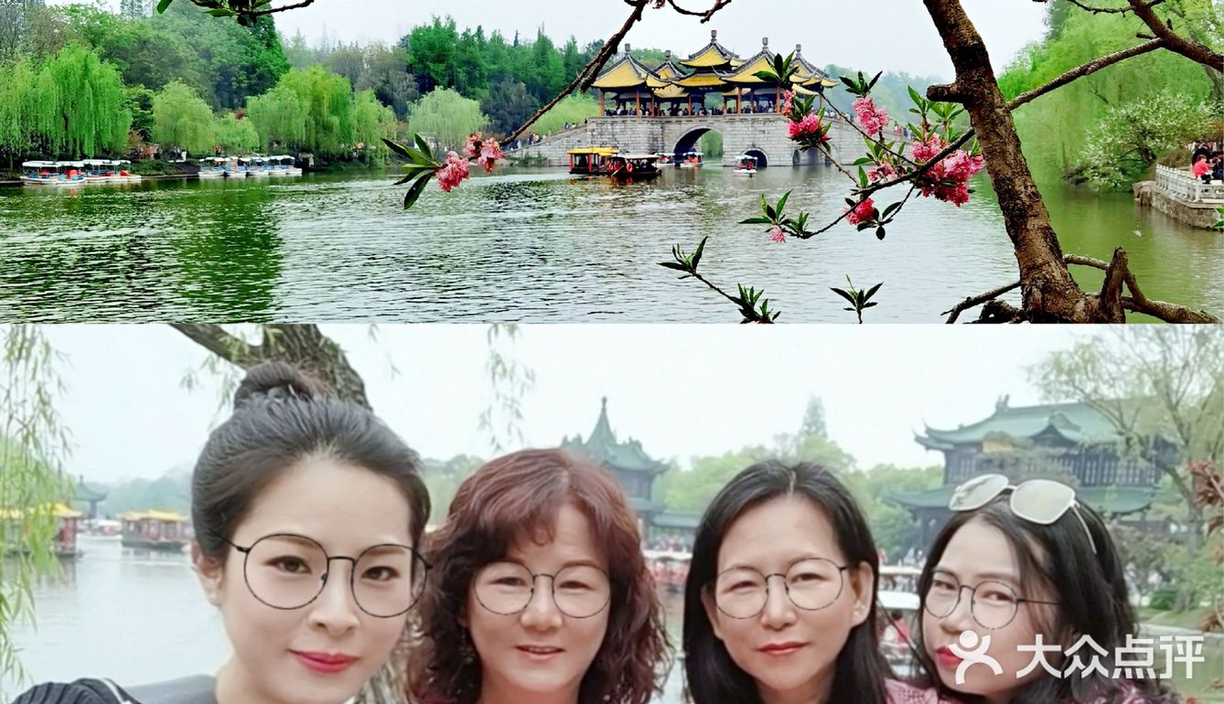 扬州这副画好美，自然之美展现华夏民族魅力！🌿🍀