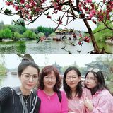 扬州这副画好美，自然之美展现华夏民族魅力！🌿🍀