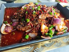 -云里小坐·小院里·团建·宴请·下午茶(三圣乡店)