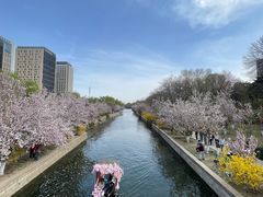 -元大都城垣遗址公园