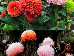 -共青国家森林公园-售票处