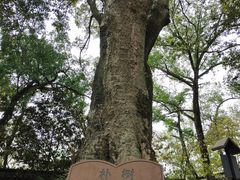 -上海佘山国家森林公园天马山园