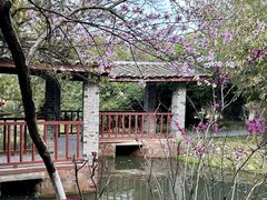 -八大山人梅湖景区