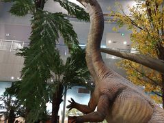 -湖南省地质博物馆