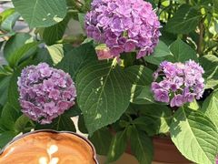 -Beans Solo豆号咖啡(百家湖花园店)