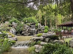 -东莞植物园