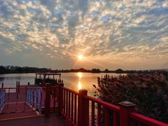 -芒洲湿地公园