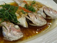 -陈记粤湛鸡饭店