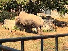 -大连森林动物园