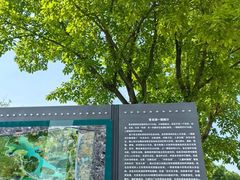 -青龙湖公园