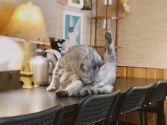 -隅cafe(傅厚岗店)