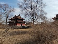 -北陵公园