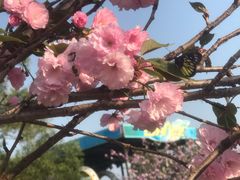 -观澜湖生态运动公社