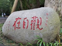 -峨眉山报国寺