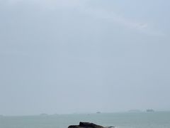 -音乐广场