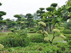 -南宁南湖公园