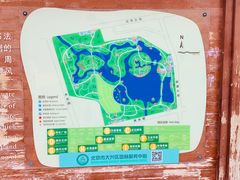 -大兴滨河森林公园