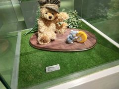 -成都泰迪熊博物馆