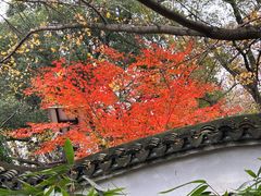 -惠山古镇·寄畅园