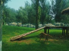 -北京野生动物园