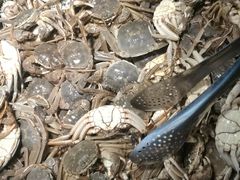 -欢乐牧场海鲜烤肉自助(牡丹园店)