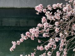 -丽都DELICATESSEN熟食店