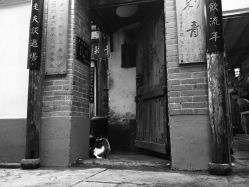 -汉刺青TATTOO STUDIO