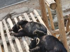 -大连森林动物园