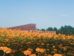 -长春世界雕塑园冰雪艺术天地