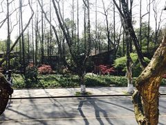 对面的西湖-也枫·小黄楼(南山路旗舰店)