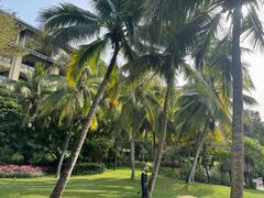 -海南清水湾莱佛士酒店