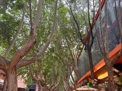 -西安电影制片厂