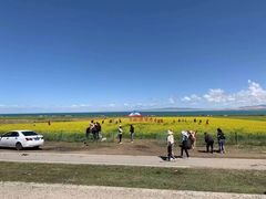 -青海湖国家重点风景名胜区