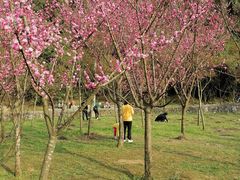 -贵阳市花溪国家城市湿地公园
