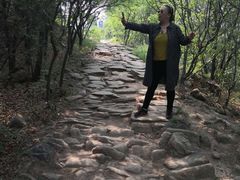 -鬼笑石后山停车场