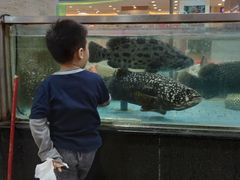 -渔民新村(番禺总店)