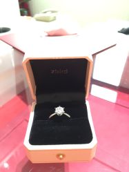 -Zbird钻石小鸟·钻戒婚戒定制高端珠宝私人定制中心