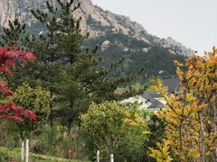 -崂山仰口游览区