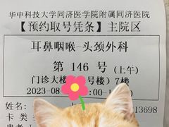 -华中科技大学同济医学院附属同济医院(汉口院区)