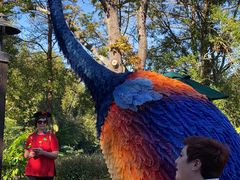 -奥兰多迪士尼动物王国乐园