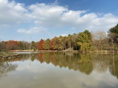 -上海海湾国家森林公园