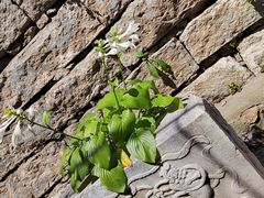 -天津盘山风景名胜区